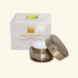 Лифтинговый Омолаживающий ночной крем для лица с фитостволовыми клетками яблока APPLE STEM CELL